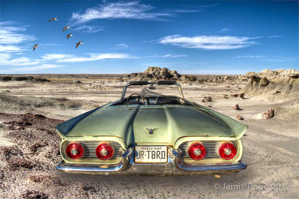 Thunderbird in the Badlands